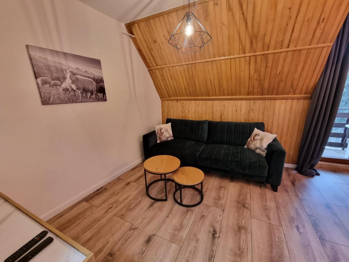 Apartament Klasyczny Z Widokiem Na Giewont Koscielisko Ngoại thất bức ảnh