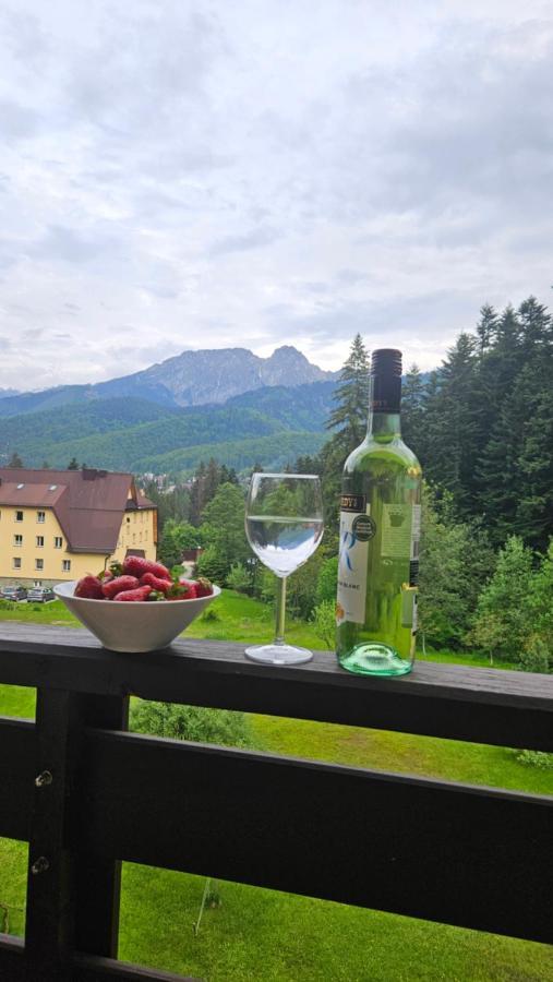 Apartament Klasyczny Z Widokiem Na Giewont Koscielisko Ngoại thất bức ảnh